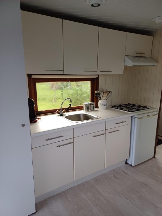 Vrijstaand Chalet Met Veel Buitenruimte En Veranda Зейд-Схарвауде Екстер'єр фото